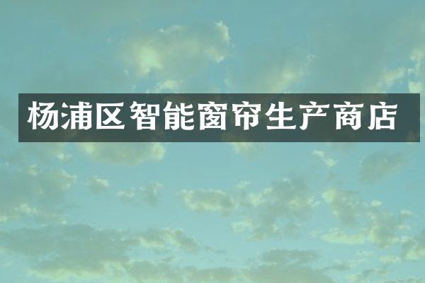 杨浦区智能窗帘生产商店
