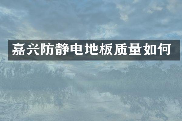 嘉兴防静电地板质量如何