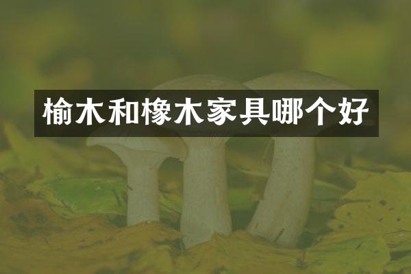 榆木和橡木家具哪个好