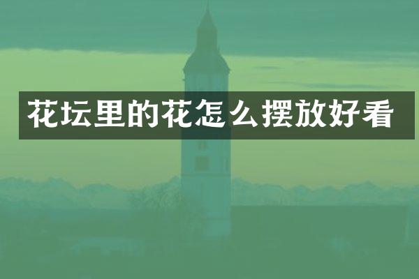 花坛里的花怎么摆放好看