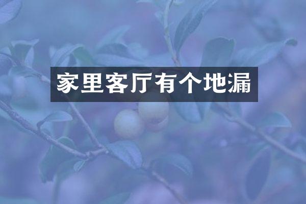 家里客厅有个地漏