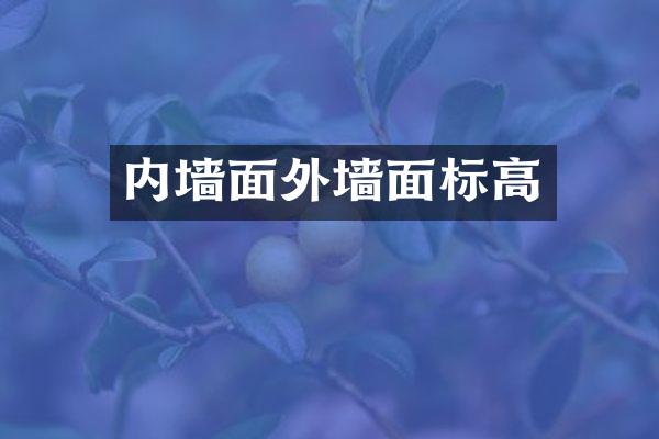 内墙面外墙面标高