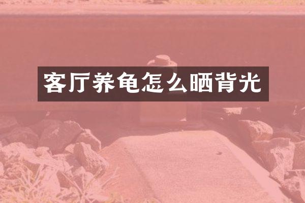 客厅养龟怎么晒背光