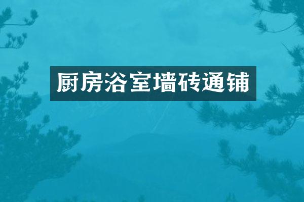 厨房浴室墙砖通铺