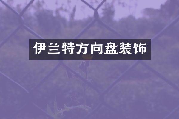 伊兰特方向盘装饰