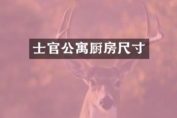 士官公寓厨房尺寸