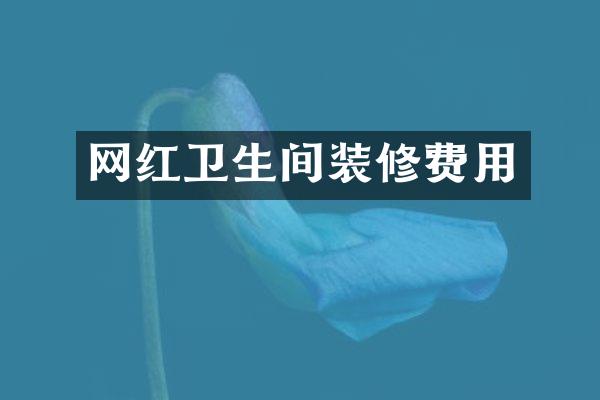 网红卫生间装修费用