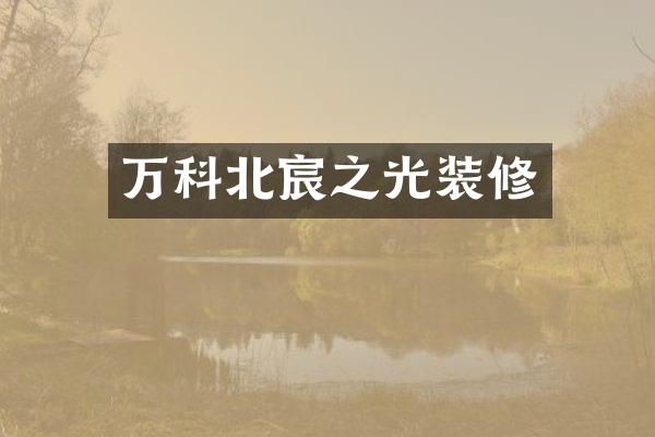 万科北宸之光装修