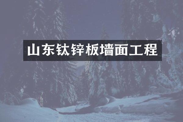 山东钛锌板墙面工程