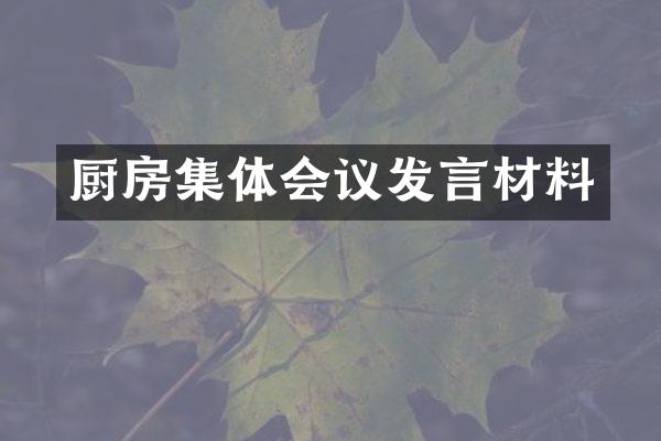 厨房集体会议发言材料