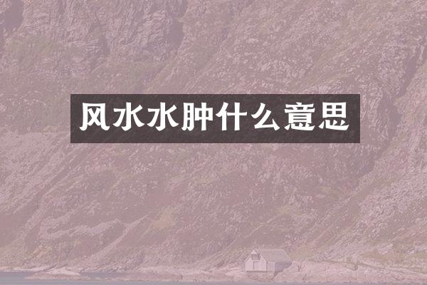 风水水肿什么意思