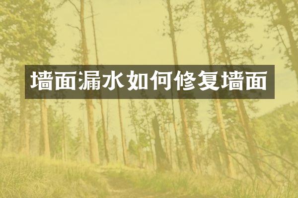 墙面漏水如何修复墙面