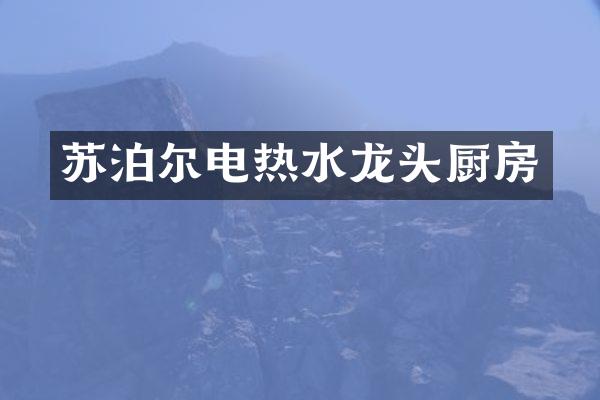 苏泊尔电热水龙头厨房