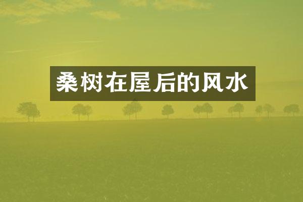 桑树在屋后的风水
