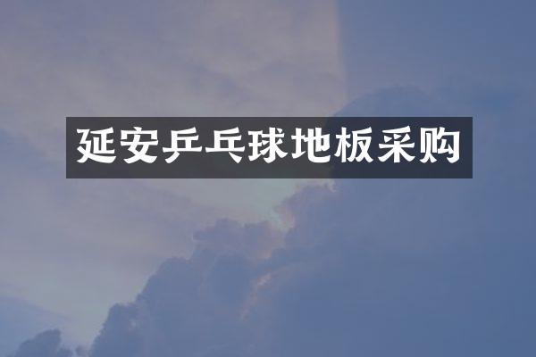 延安乒乓球地板采购