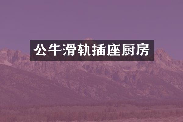 公牛滑轨插座厨房
