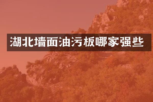 湖北墙面油污板哪家强些