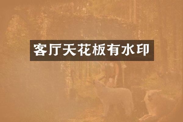 客厅天花板有水印