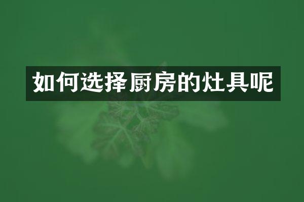 如何选择厨房的灶具呢