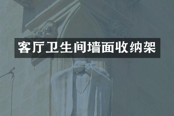 客厅卫生间墙面收纳架