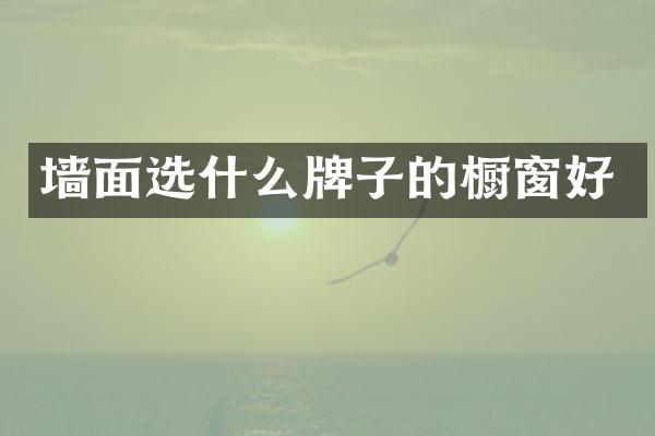 墙面选什么牌子的橱窗好