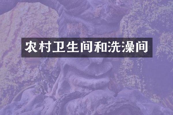 农村卫生间和洗澡间