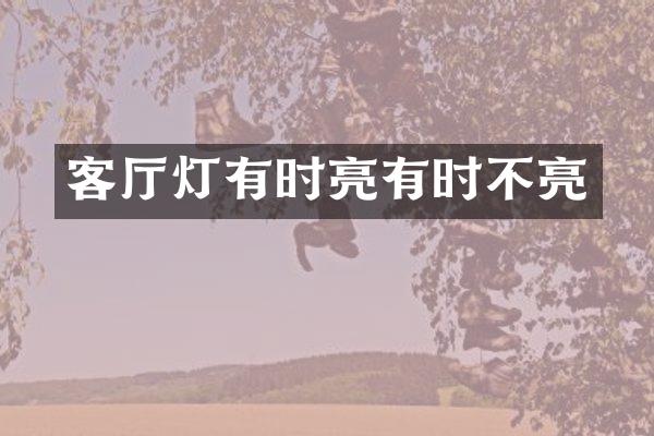 客厅灯有时亮有时不亮