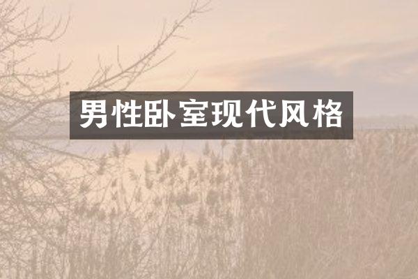 男性卧室现代风格