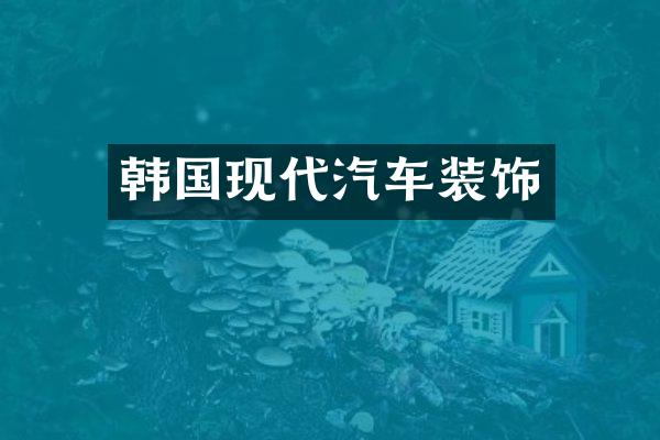 韩国现代汽车装饰