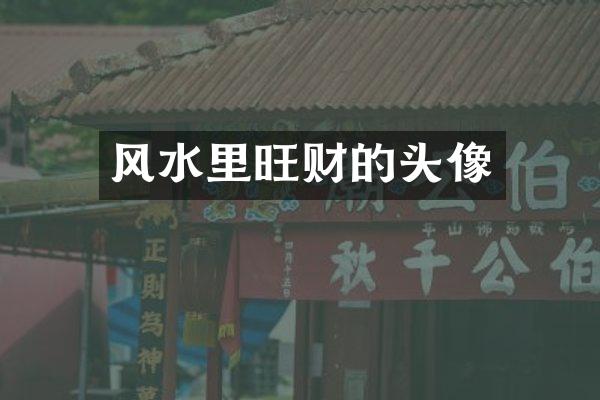 风水里旺财的头像