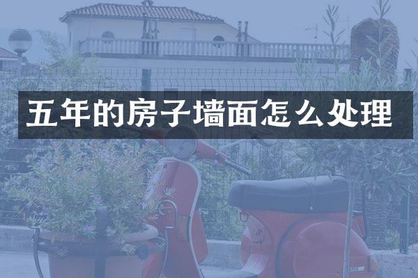 五年的房子墙面怎么处理