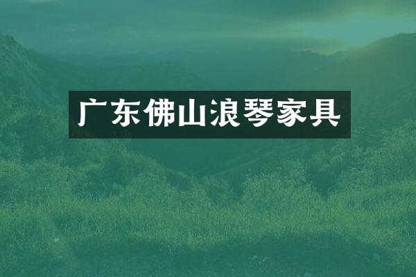 广东佛山浪琴家具