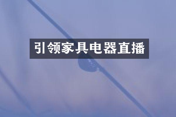 引领家具电器直播