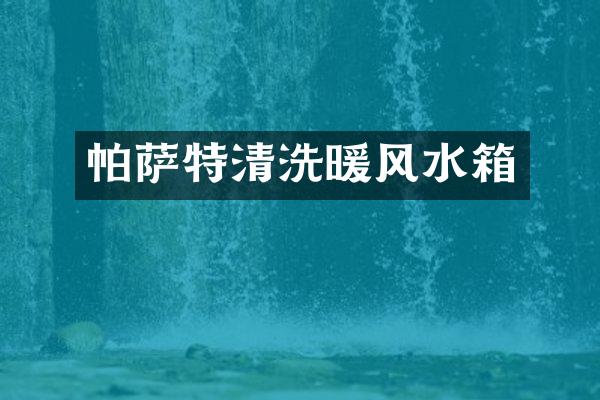 帕萨特清洗暖风水箱