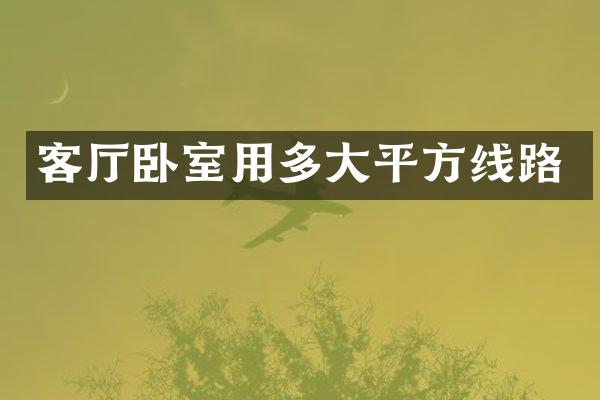 客厅卧室用多大平方线路