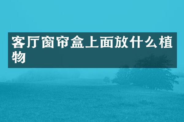 客厅窗帘盒上面放什么植物