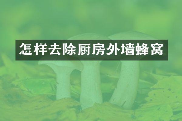 怎样去除厨房外墙蜂窝