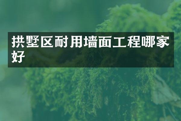 拱墅区耐用墙面工程哪家好