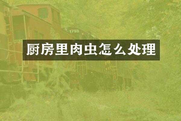 厨房里肉虫怎么处理