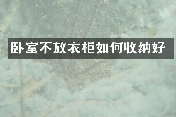 卧室不放衣柜如何收纳好