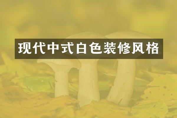 现代中式白色装修风格