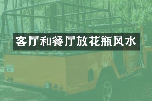 客厅和餐厅放花瓶风水