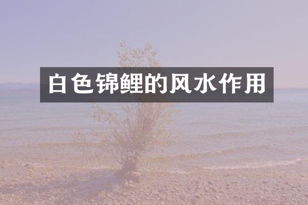 白色锦鲤的风水作用