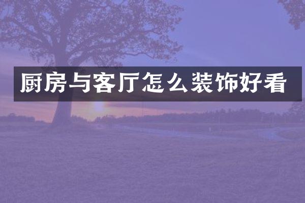 厨房与客厅怎么装饰好看