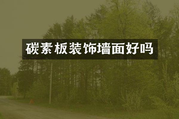碳素板装饰墙面好吗