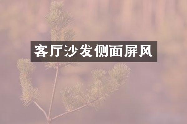 客厅沙发侧面屏风