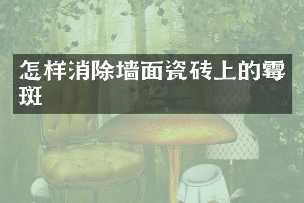 怎样消除墙面瓷砖上的霉斑
