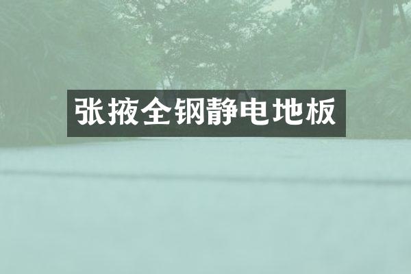 张掖全钢静电地板