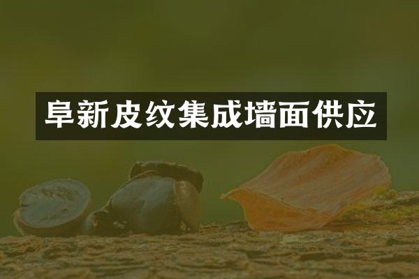 阜新皮纹集成墙面供应