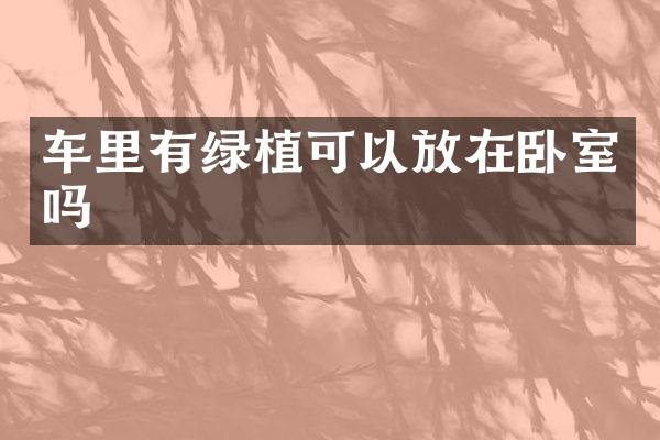 车里有绿植可以放在卧室吗